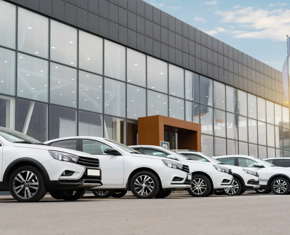 Zimny Auto Samochody Używane