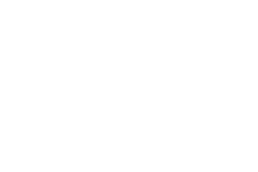 Logo Zimny Auto Białe