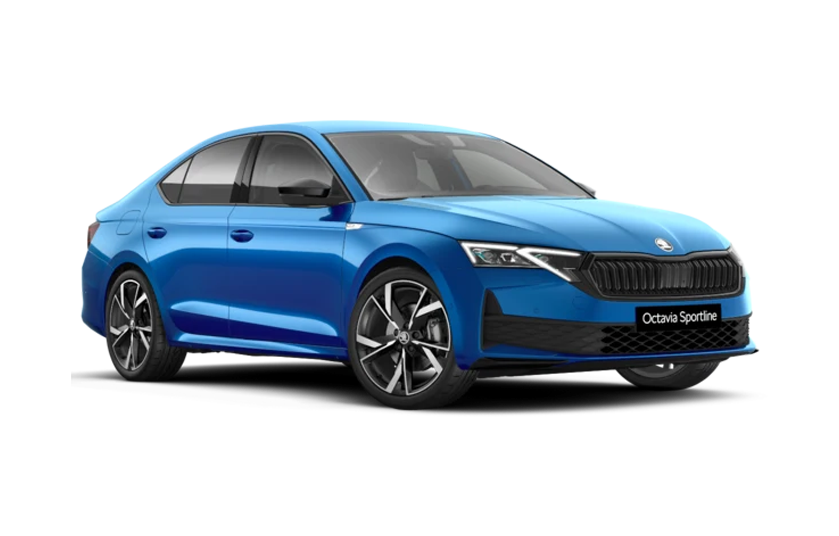 Zimny Auto - Skoda